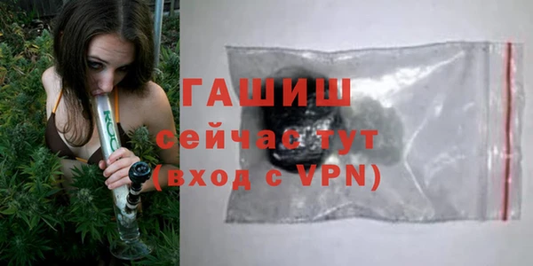 сатива Балахна