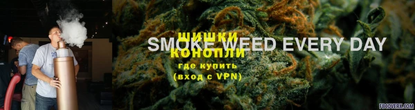 сатива Балахна