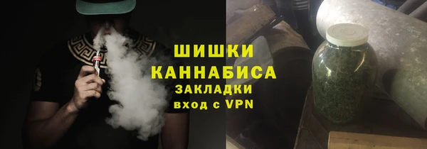 сатива Балахна