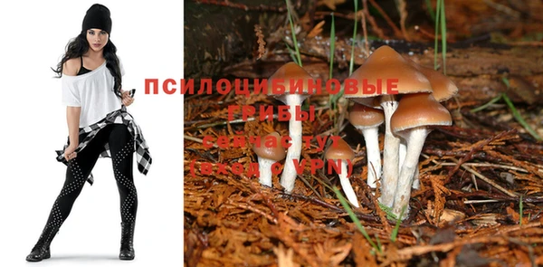сатива Балахна