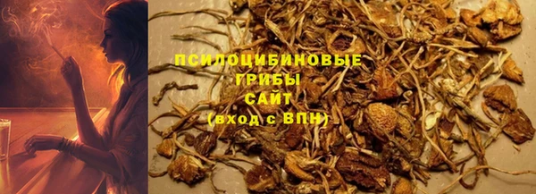 сатива Балахна