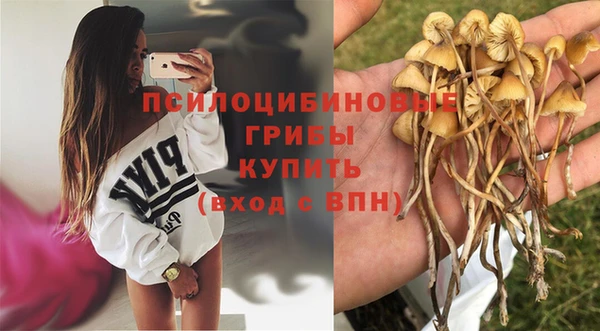 каннабис Баксан